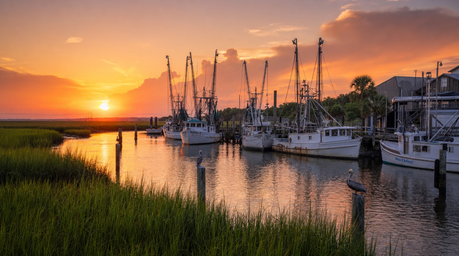 Shrimp trawlers moored along Shem Creek in Mt. Pleasant at golden hour, with marsh grass and pelicans on the pilings